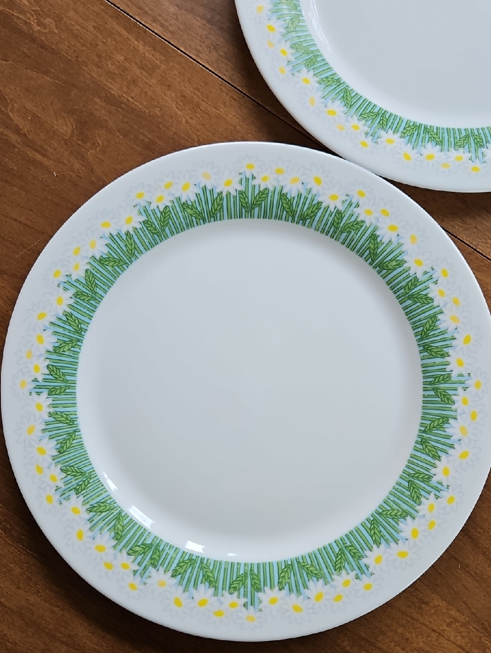 Arcopal Florane Milk Glass Dinner Plates, set of two